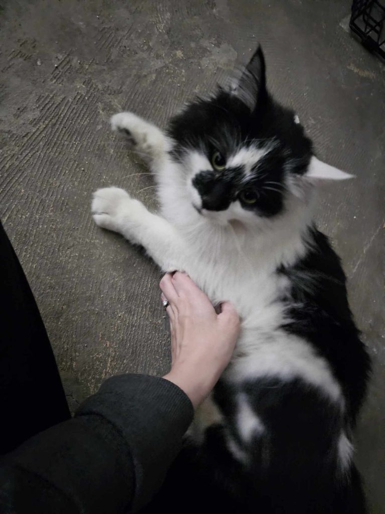 396590335 1029555054858123 5177068304625369020 N