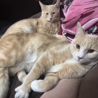 Jack & Kevin